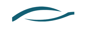 LTCAR Detailing logo
